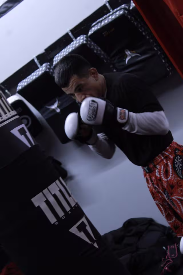 boxer